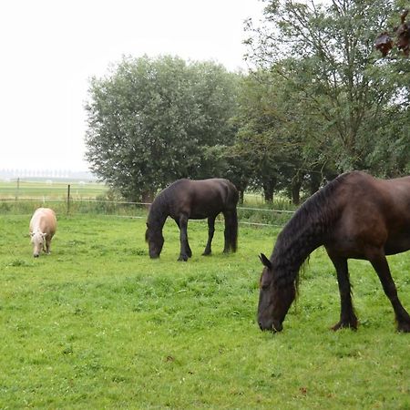 Apartment Het Friesche Paard Purmer Екстер'єр фото