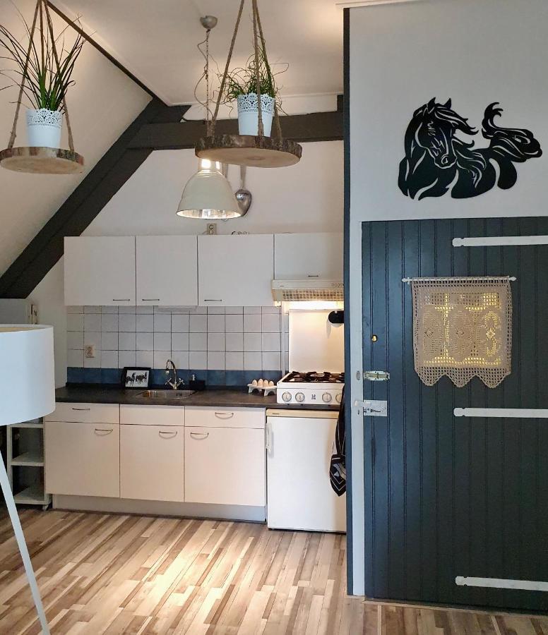 Apartment Het Friesche Paard Purmer Екстер'єр фото